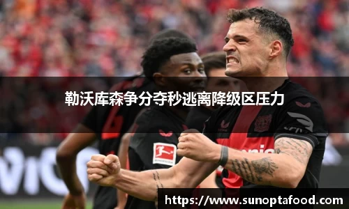勒沃库森争分夺秒逃离降级区压力