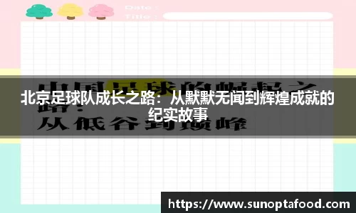 mk体育官网