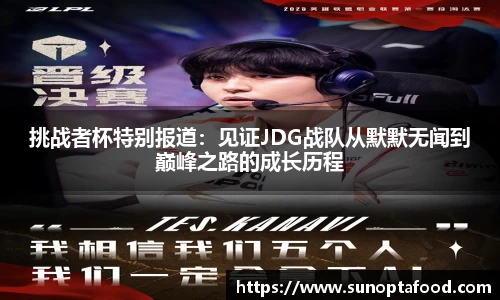 mk体育平台