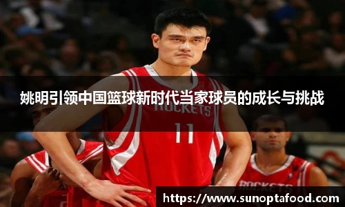 姚明引领中国篮球新时代当家球员的成长与挑战