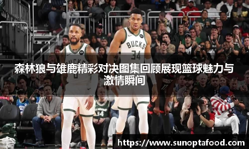 mksport体育
