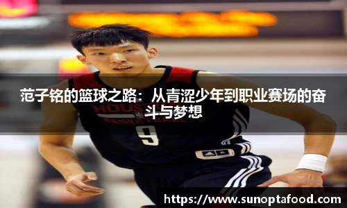 mksport体育