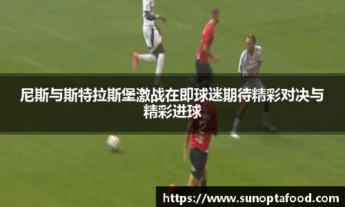 mksport体育